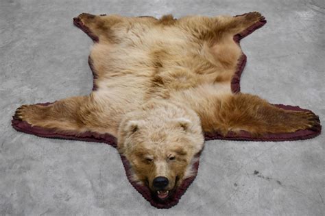 bear rugs for living room|taxidermy bear rugs for sale.